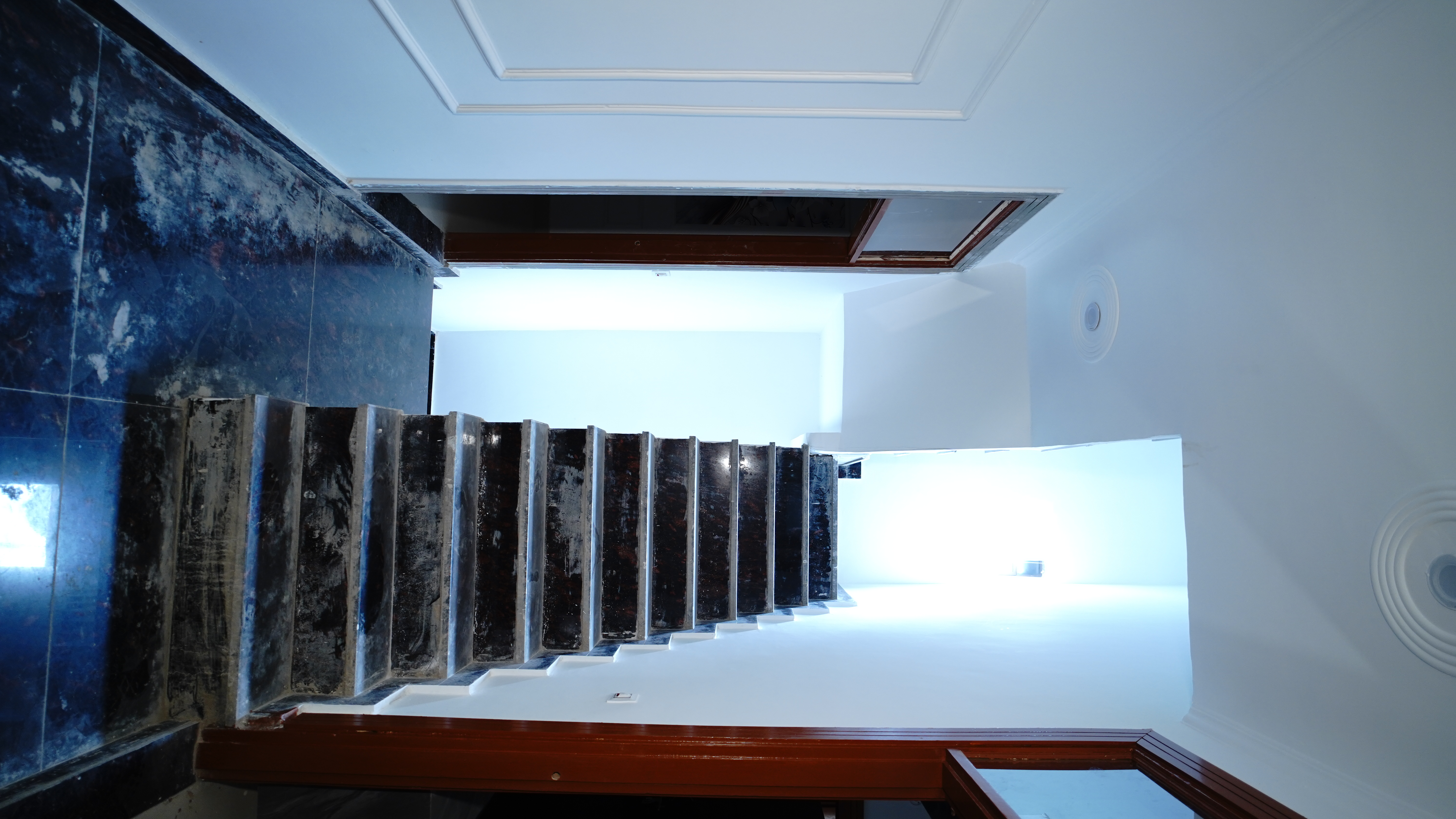 Project Gallery